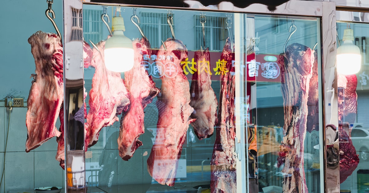 Pasto vs Confinamento: Diferença na Carne