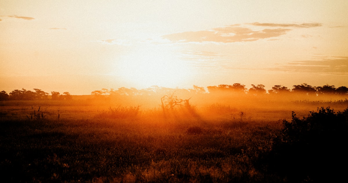the sun is setting over a field of grass — Clube Prime, Empório Família Rodrigues