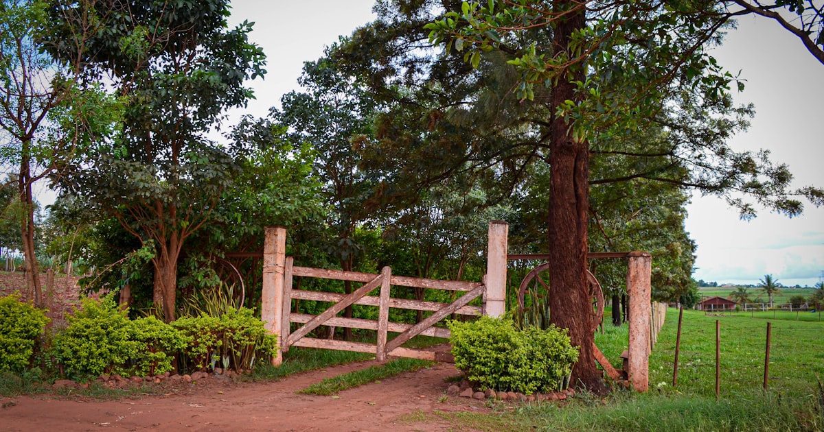 a wooden gate in the middle of a dirt road — Clube Prime, Empório Família Rodrigues